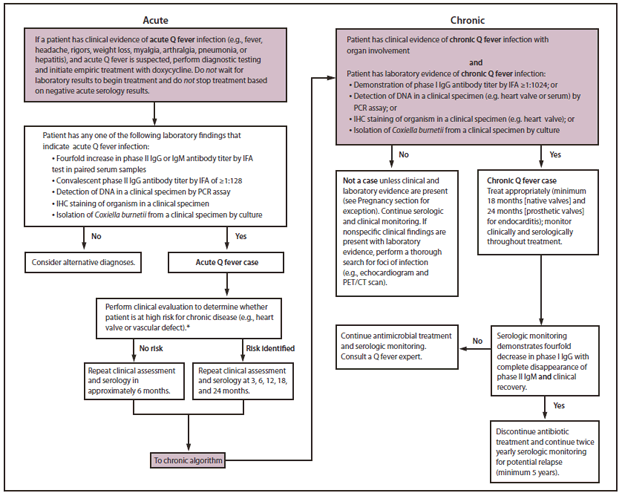 Algoritm. Fever Management